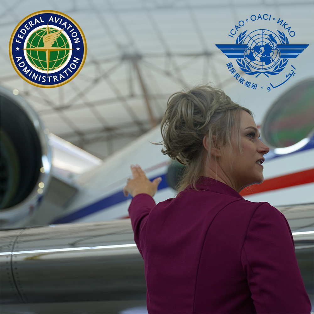 Comparing FAA SMS Part 5 and ICAO Annex 19 Safety Management System